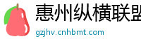 惠州纵横联盟信息官网
